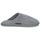 Chaussures Chaussons Giesswein TINO Gris