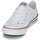 Chaussures Femme Baskets basses Converse CHUCK TAYLOR ALL STAR DAINTY CANVAS  OX Blanc
