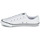 Chaussures Femme Baskets basses Converse CHUCK TAYLOR ALL STAR DAINTY LEATHER OX Blanc