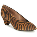 chaussures escarpins wonders  i7601-zebrato-cuero-ante-negro 