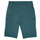 Vêtements Garçon Shorts / Bermudas Ikks MANUEL Bleu vert
