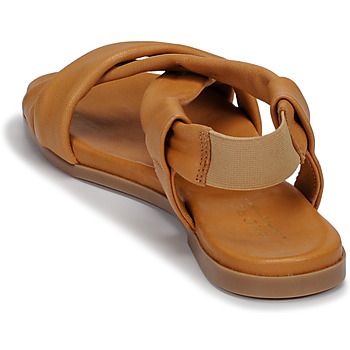 André BABACO Camel