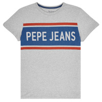 Vêtements Garçon T-shirts manches courtes Pepe jeans TALTON Gris