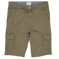 Vêtements Garçon Shorts / Bermudas Timberland TAO Vert
