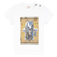 Vêtements Garçon T-shirts manches courtes Catimini LARIBI Blanc