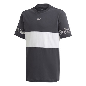 Vêtements Garçon T-shirts manches courtes adidas Originals PANEL TEE Gris / Blanc