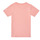 Vêtements Fille T-shirts manches courtes Columbia SWEET PINES GRAPHIC Rose