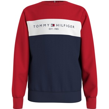 Vêtements Garçon Sweats Tommy Hilfiger SIBEMA Multicolore