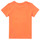 Vêtements Garçon T-shirts manches courtes Name it NMMFASHO Orange