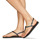 Chaussures Femme Sandales et Nu-pieds Havaianas TWIST Noir