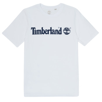 Vêtements Garçon T-shirts manches courtes Timberland FONTANA Blanc