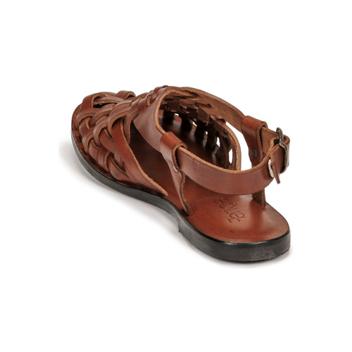 Fericelli ONUOVO Camel