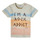 Vêtements Garçon T-shirts manches courtes Ikks FANNI Multicolore