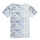 Vêtements Garçon T-shirts manches courtes Ikks KINOLA Multicolore