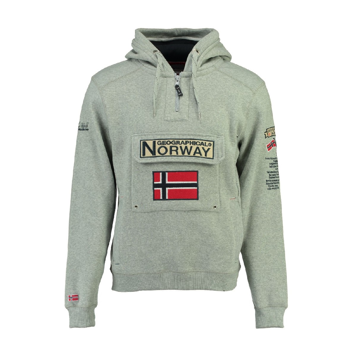 Vêtements Garçon Sweats Geographical Norway GYMCLASS Gris