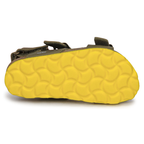 Citrouille et Compagnie KELATU Kaki