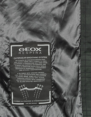 Geox SANDFORD Noir / Khaki