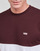 Vêtements Homme T-shirts manches courtes Vans COLORBLOCK TEE Blanc