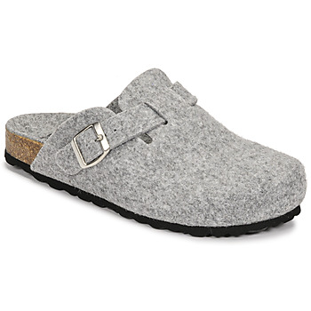 Chaussures Femme Chaussons Casual Attitude MILORD Gris