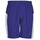 Vêtements Homme Shorts / Bermudas Puma WV RECY 9SHORT Bleu / Blanc