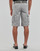 Vêtements Homme Shorts / Bermudas Teddy Smith SYTRO 3 Gris Clair