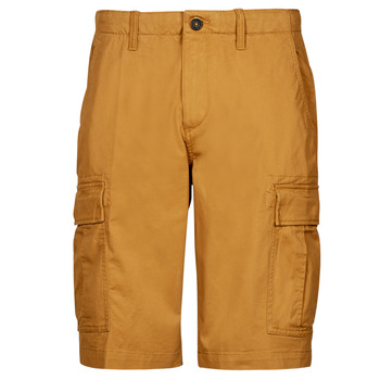 Vêtements Homme Shorts / Bermudas Timberland OUTDOOR HERITAGE RELAXED CARGO Beige
