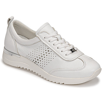 Chaussures Femme Sandales et Nu-pieds Caprice 23500 Blanc