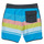 Vêtements Garçon Maillots / Shorts de bain Quiksilver EVERYDAY SCALLOP Multicolore