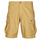Vêtements Homme Shorts / Bermudas Napapijri NOTO 5 Beige