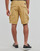 Vêtements Homme Shorts / Bermudas Napapijri NOTO 5 Beige