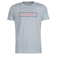 Vêtements Homme T-shirts manches courtes Esprit BCI N cn aw ss Gris