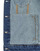 Vêtements Femme Vestes en jean Desigual CHAQ_OLIMPIA Gris Chiné / Bleu Jean