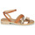 Chaussures Femme Sandales et Nu-pieds NeroGiardini E218673D-660 Marron / Doré