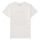 Vêtements Garçon T-shirts manches courtes Teddy Smith T-ALTO Blanc