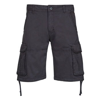 Vêtements Homme Shorts / Bermudas Jack & Jones JPSTZEUS Gris