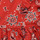 Vêtements Fille Robes courtes Petit Bateau BLOOM Rouge