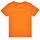 Vêtements Garçon T-shirts manches courtes Name it NMMMICKEY MICAH Orange