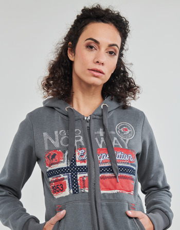 Geographical Norway FARLOTTE Gris
