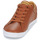Chaussures Homme Baskets basses Fred Perry BASELINE LEATHER Marron