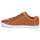 Chaussures Homme Baskets basses Fred Perry BASELINE LEATHER Marron