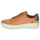 Chaussures Homme Baskets basses Timberland SENECA BAY OXFORD Marron