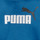 Vêtements Garçon Sweats Puma ESS 2 COL BIG LOGO HOODIE Bleu