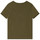 Vêtements Garçon T-shirts manches courtes Zadig & Voltaire X25336-64E Kaki