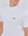 Vêtements Homme T-shirts manches courtes Vans LEFT CHEST LOGO TEE Blanc