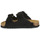 Chaussures Femme Mules Scholl NOELLE Noir