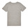 Vêtements Garçon T-shirts manches courtes Pepe jeans FLAG LOGO JR S/S N Gris