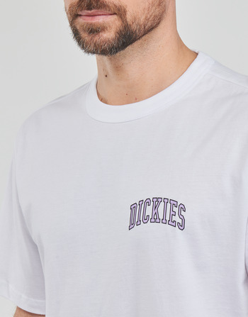 Dickies AITKIN CHEST TEE SS Blanc