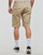 Vêtements Homme Shorts / Bermudas Dickies MILLERVILLE SHORT Beige