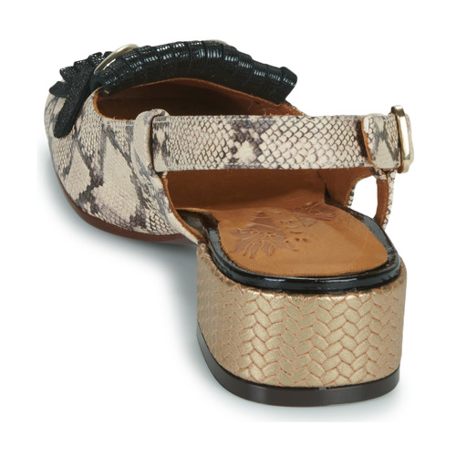 Chie Mihara ILNA Python