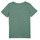 Vêtements Garçon T-shirts manches courtes Name it NKMBRUNO SS TOP Gris